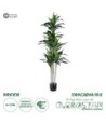GloboStar® Artificial Garden DRACAENA SILK 20044 - Τεχνητό Διακοσμητικό Φυτό Δράκαινα Υ170cm